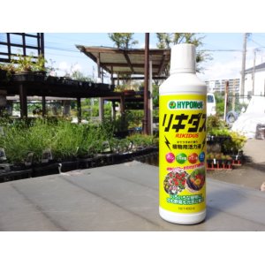 画像1: 植物用活力液 リキダス 450ml