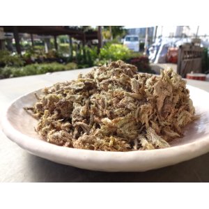 画像2: 乾燥山苔(中国産) 100g