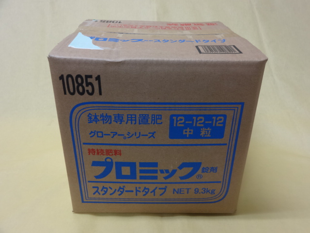 8号 美形100cm】トックリラン ポニーテール ノリナ 観葉植物 大型 室内